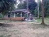 D Congkak Forest