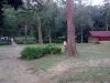 D Congkak Forest