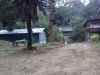 D Congkak Forest