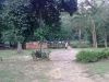 D Congkak Forest