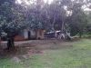 D Congkak Forest