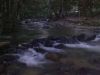 D Congkak Forest