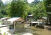 Impian Country Resort