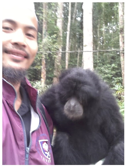 author with siamang while walking inside sungai congkak park resort